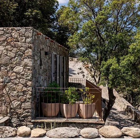 拉丁酒店 酒店 4*